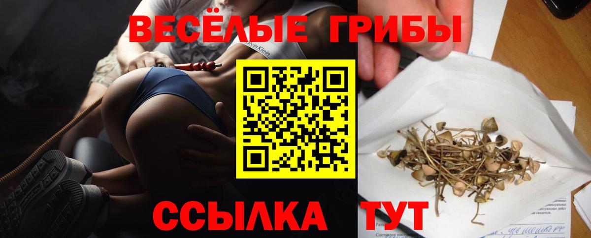 наркошоп  Вход с VPN  Рузаевка  Псилоцибиновые грибы мицелий 